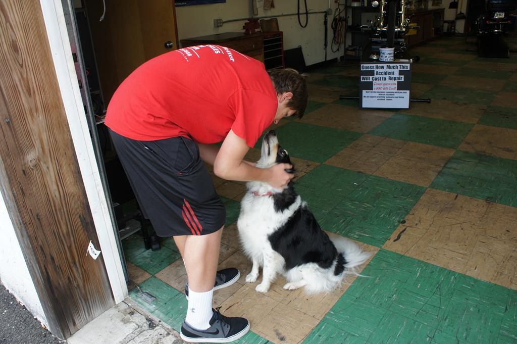 Spring Motor Mania 2014